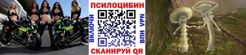 Псилоцибиновые грибы Psilocybe  Саратов 