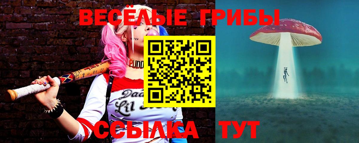 Псилоцибиновые грибы Magic Shrooms Саратов